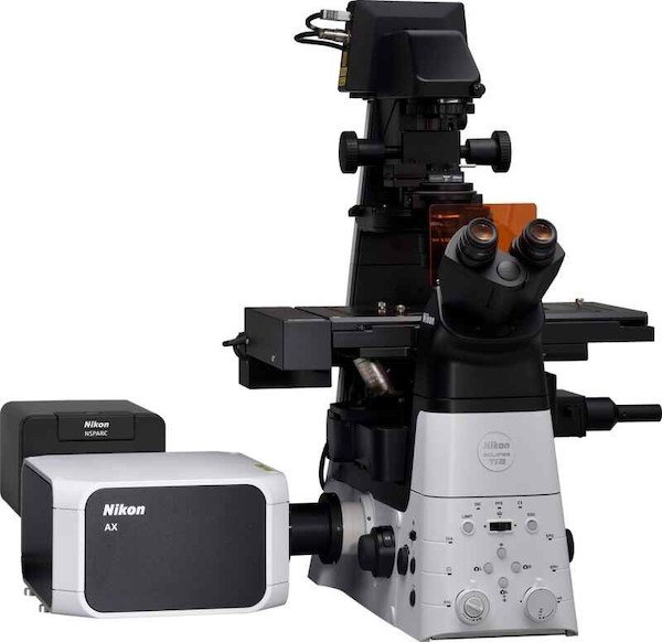 AX/AX R with NSPARC Super-Resolution Confocal Microscope.